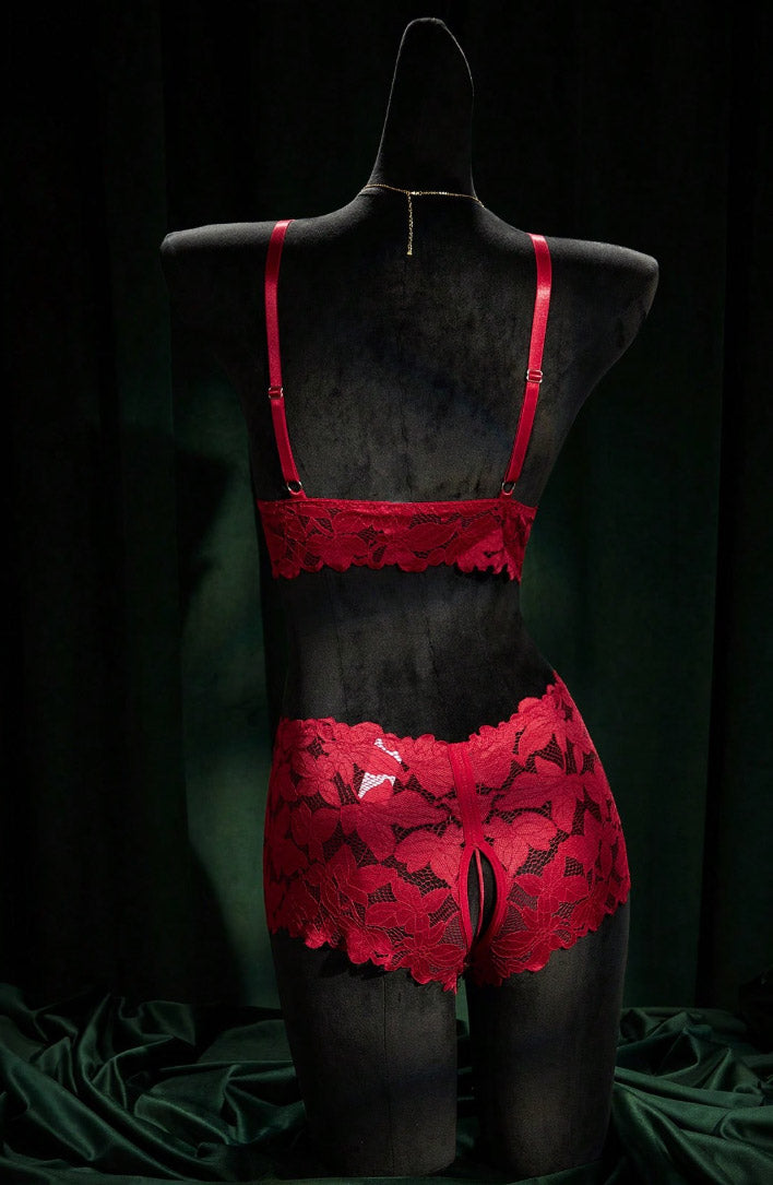 Open Crotch Panty Lingerie Set