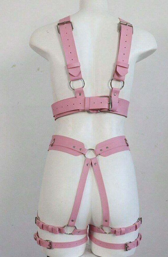 Body Pink Harness set, - PureDiva